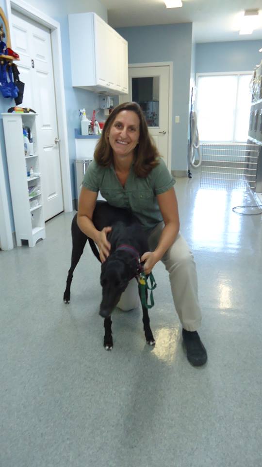 Blue Grass Veterinary Hospital - Veterinarian in Blue Grass, IA US :: Meet  Our Team